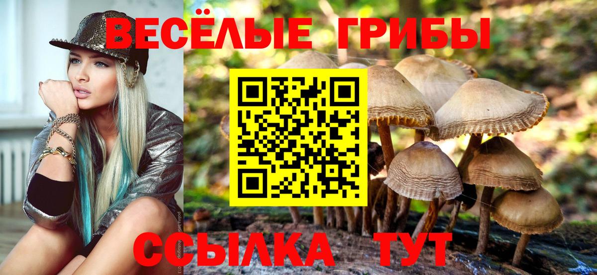 Острогожск  Псилоцибиновые грибы Psilocybe  Вход с VPN 