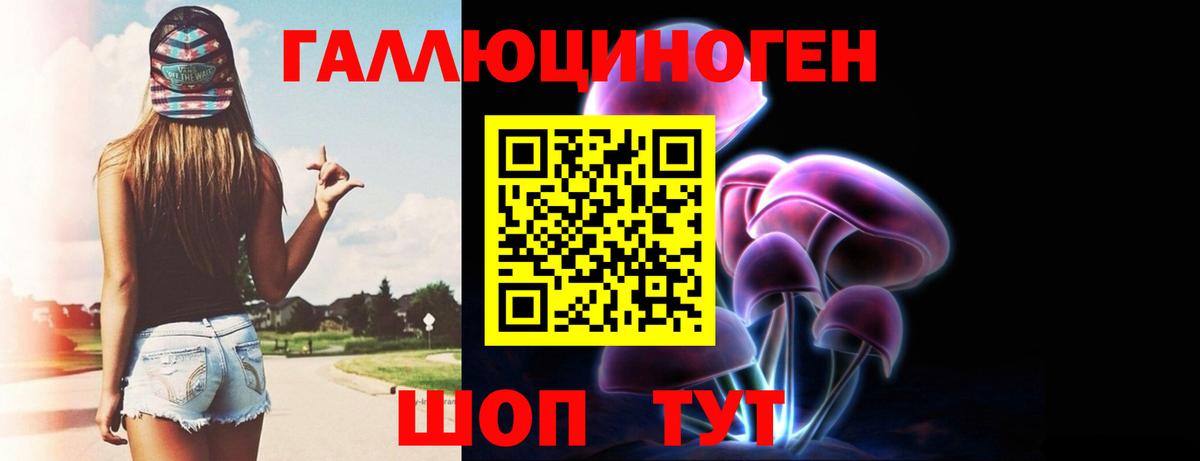 Галлюциногенные грибы Psilocybine cubensis Острогожск